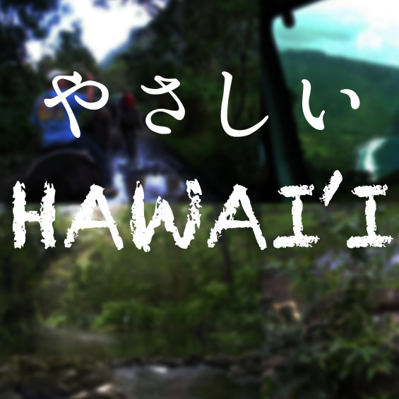 やさしいHawai’i第60回【特別編】     『大統領選挙から見えたハワイ島の変化』