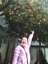 初めて見るレモンの木に歓喜！