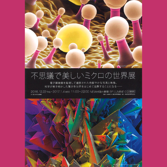 「不思議で美しいミクロの世界展」が新宿で開催