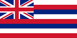 ハワイ国旗２