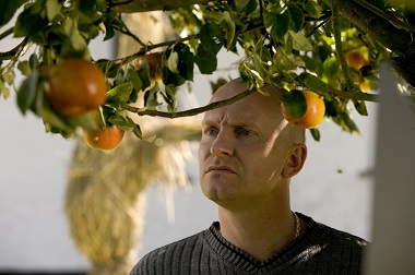 Adams Æbler