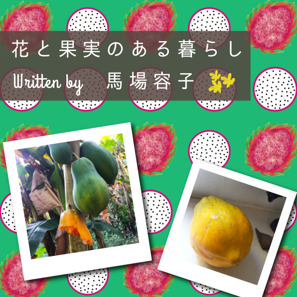 花と果実のある暮らし in Chiang Mai プチ・カルチャー集 Vol.87 パパイヤの恩恵