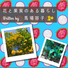 花と果実のある暮らし in Chiang Mai プチ・カルチャー集　Vol.89  日曜日の電話