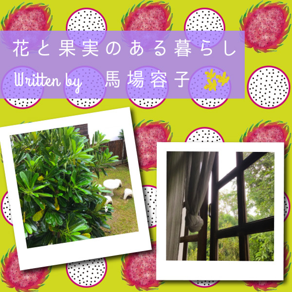 花と果実のある暮らし in Chiang Mai プチ・カルチャー集　Vol.92  フーテンの人々