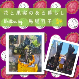 花と果実のある暮らし in Chiang Mai プチ・カルチャー集　Vol.95 偶然