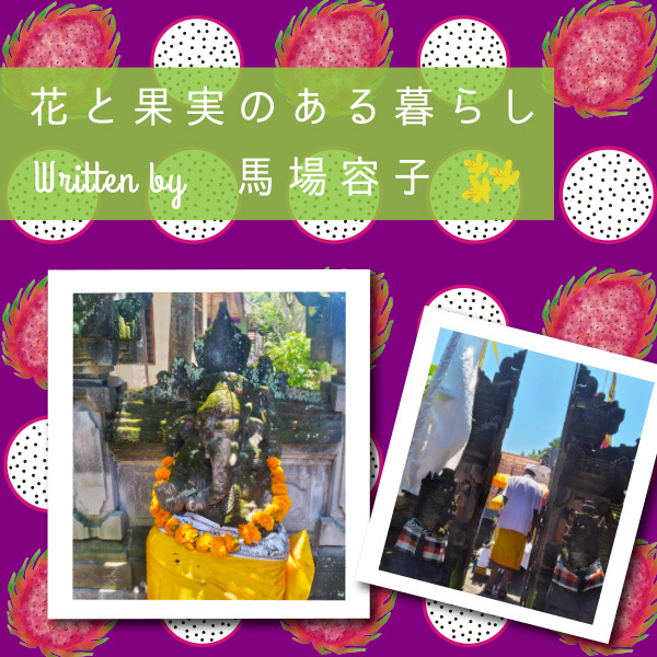 花と果実のある暮らし in Chiang Mai プチ・カルチャー集 Vol.95 偶然