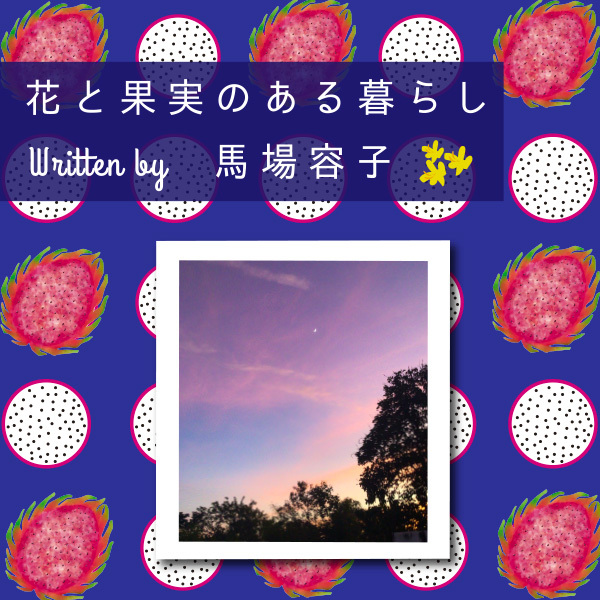 花と果実のある暮らし in Chiang Mai プチ・カルチャー集　Vol.96 ムッとした一コマ