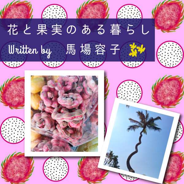 花と果実のある暮らし in Chiang mai プチ・カルチャー集 Vol.99 ポン・デ・リングみたいな果物！？