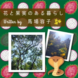 花と果実のある暮らし in Chiang mai プチ・カルチャー集 Vol.107  コブラが出た！